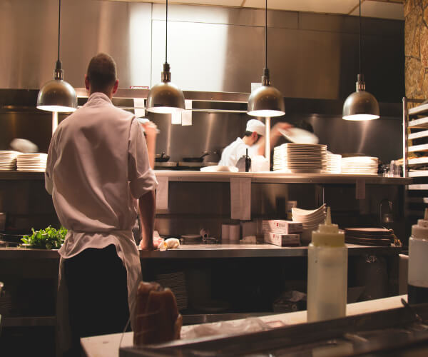 Pest Preventions to Implement in Your Commercial Kitchen